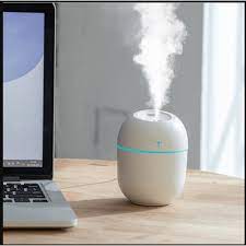 Mist Humidifier Air Purifier LED Lamp