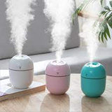 Mist Humidifier Air Purifier LED Lamp